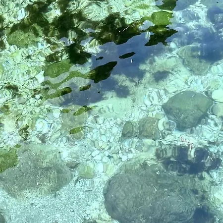 度假居 57 Bee Old Town - Character House Near & Marina